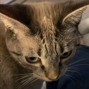 Meet your Posher, Catherine